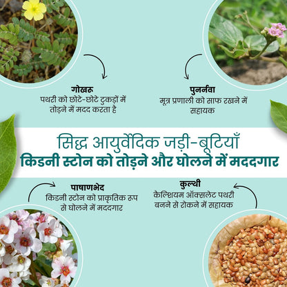 Kidney Stone Crusher (Free Diet Chart & Ayurveda Expert Consultation )