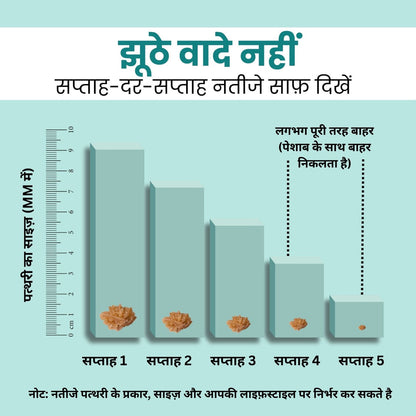 Kidney Stone Crusher (Free Diet Chart & Ayurveda Expert Consultation )