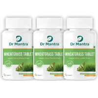 Wheatgrass / Pack of 3