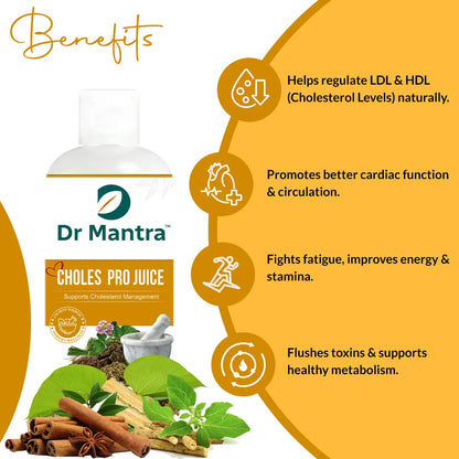 Dr Mantra Choles Pro Juice to Manage Cholesterol | 500 ml