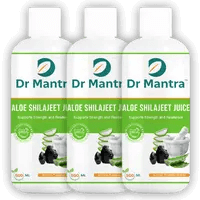 Aloe Shilajeet Sugar-free / Pack of 3