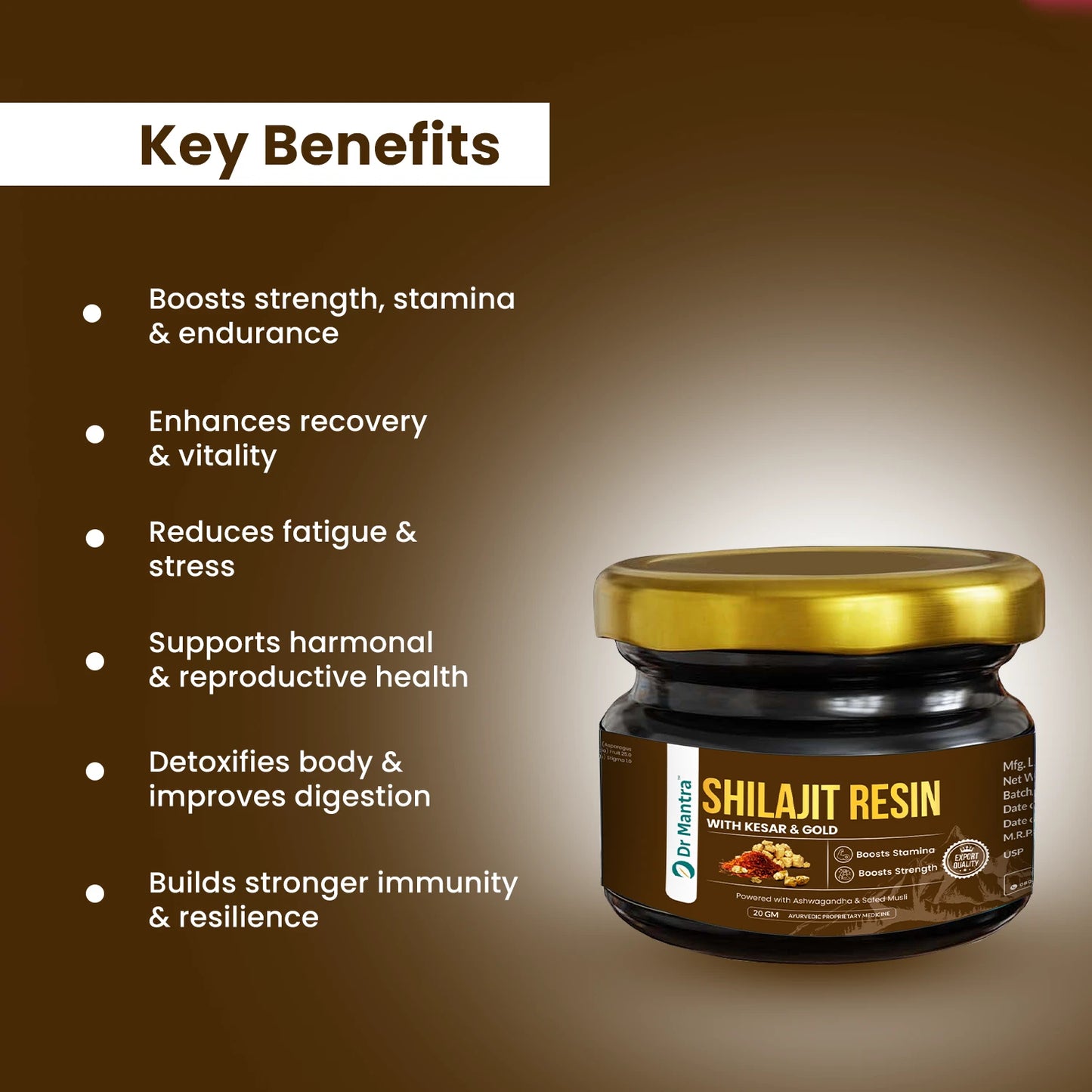 Dr Mantra Shilajit Resin with Kesar & Gold for Men's Wellness | 20gm