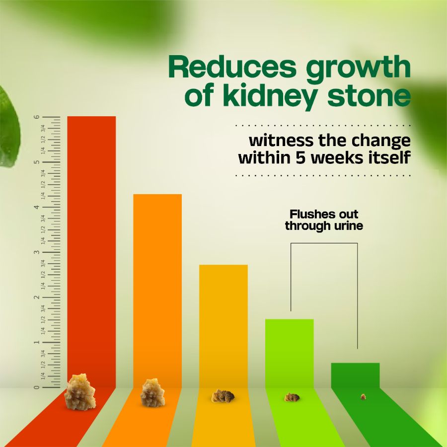 Kidney Stone Crusher Juice (Free diet chart & Ayurveda Expert Consultation)