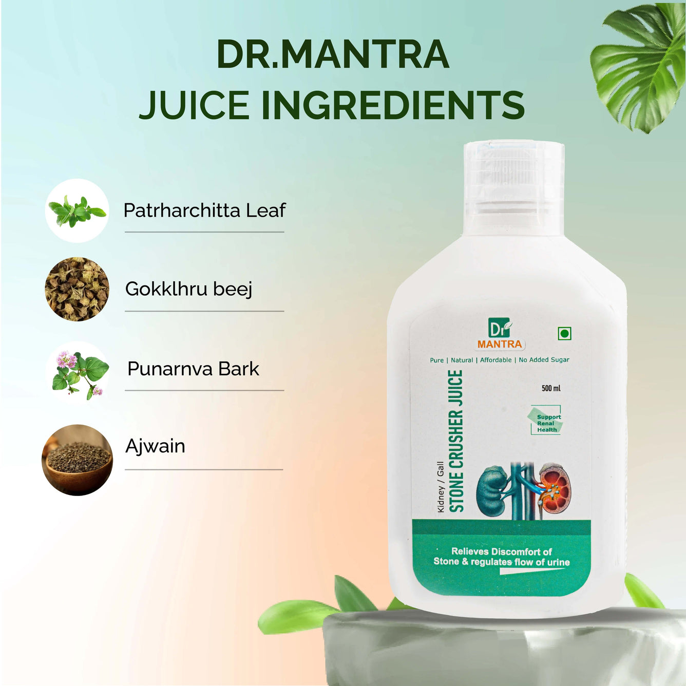 Kidney Stone Crusher DrMantra